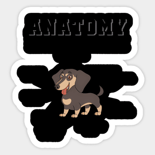 Dachshund Doxie Wiener Anatomy Of A Dachshund Sticker